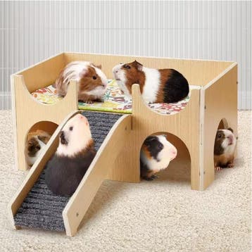 Houten Cavia Kasteel met Trap – Schuilhuis voor Knaagdieren, Verzenden, Nieuw
