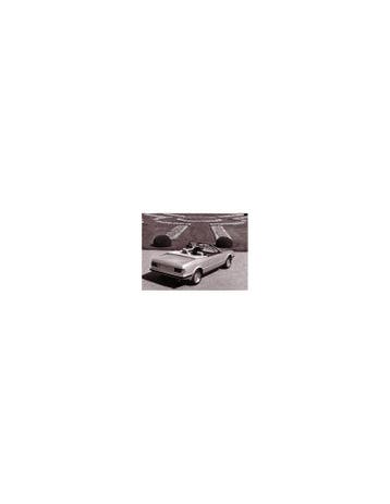 1986 MASERATI BITURBO SPYDER ZAGATO PERSFOTO, Boeken, Nieuw, Author