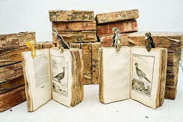 Georges-Louis Leclerc de Buffon - Histoire naturelle,