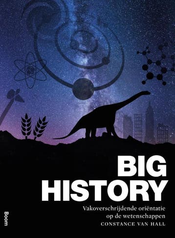 Big history - Constance van Hall 9789089535214, Boeken, Verzenden, Zo goed als nieuw, Constance van Hall