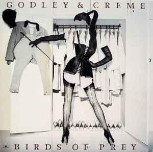 LP gebruikt - Godley &amp; Creme - Birds Of Prey, Verzenden, Zo goed als nieuw, Overige formaten