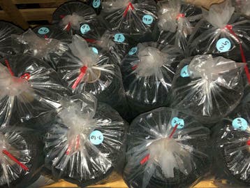 260 grams schaduwdoek - windbreekgaas - privacy scherm, Nieuw