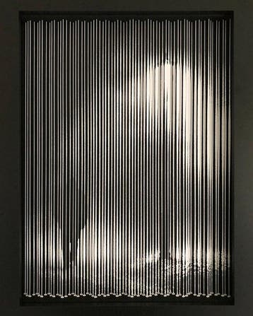 R. Kingmans - Wire sculpture - Dusky