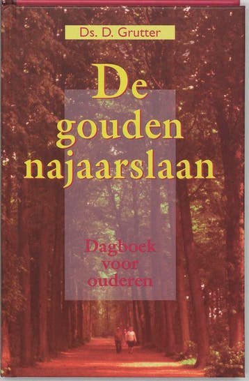 GOUDEN NAJAARSLAAN, DE - DAGBOEK 9789055601028 D. Grutter, Verzenden, Gelezen, D. Grutter