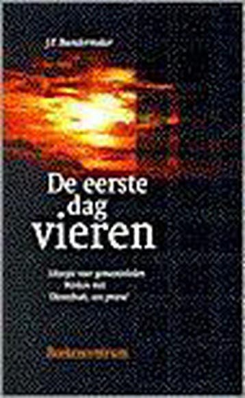 De eerste dag vieren - J.P. Boendermaker 9789023905813, Verzenden, Gelezen, J.P. Boendermaker