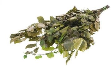 Geprepareerd Gepreserveerd Beukenblad Fagus 75 cm 150 gr, Ophalen of Verzenden, Nieuw