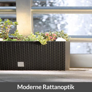 Hoge Plantenbak Antraciet Kunststof 60x25x46cm (Tuinieren), Verzenden, Nieuw