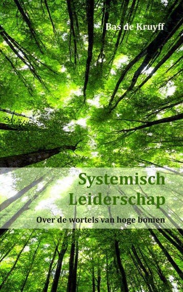 9789461938718 Systemisch Leiderschap Bas de Kruyff, Verzenden, Nieuw, Bas de Kruyff