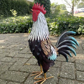 sculptuur, Prachtige haan - 47 cm - IJzer
