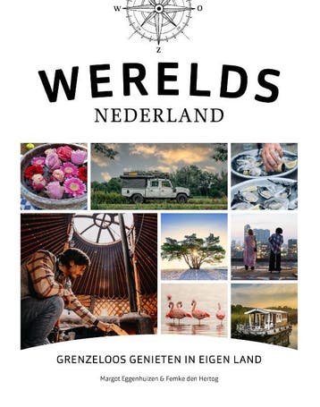 Werelds Nederland - Femke den Hertog 9789018049164, Verzenden, Gelezen, Femke den Hertog