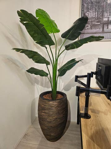 Strelitzia kunstplant, H210cm, Ophalen of Verzenden, Overige soorten, 200 cm of meer