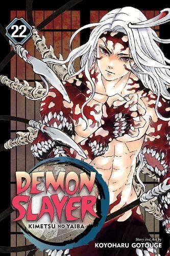 Demon Slayer: Kimetsu no Yaiba  Vol. 22, Boeken, Verzenden, Nieuw