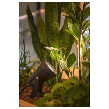SLV Samrina Tuin-/voetpadverlichtingsarmatuur - 1004757, Tuin en Terras, Verzenden, Nieuw, Overige typen