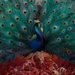 LP gebruikt - Opeth - Sorceress, Cd's en Dvd's, Verzenden, Zo goed als nieuw