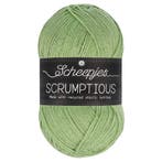 Scheepjes Scrumptious - 318 Pistachio Bundt Cake - Gerecyc, Ophalen of Verzenden, Nieuw