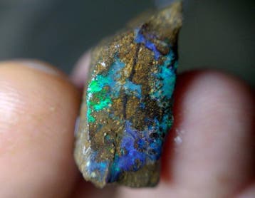21,5 ct - Prachtige Australische Boulder Opal Ruw- 4.3 g