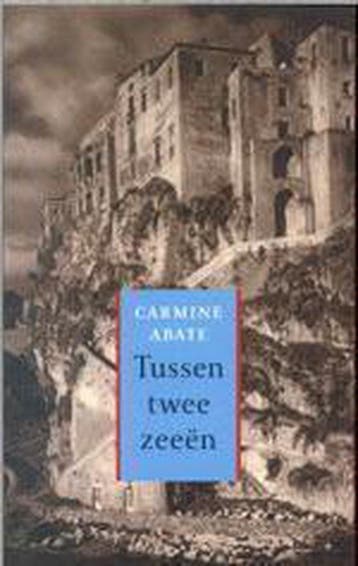Tussen twee zeeen - C. Abate 9789035125384, Verzenden, Gelezen, C. Abate