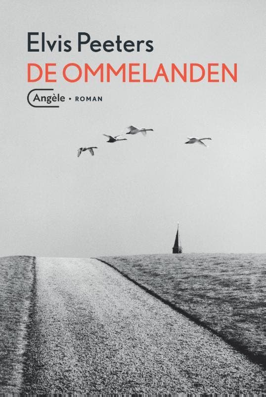 De ommelanden 9789022336212 Elvis Peeters, Boeken, Romans, Gelezen, Verzenden