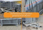 Overheidsveiling dranghekken gemeente Druten Wijchen (9106), Nieuw