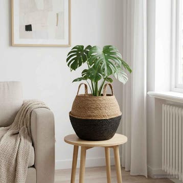vidaXL Plantenpot met handvatten Zwart Ø 32 x 32 cm 100%, Verzenden, Nieuw, 30 tot 60 cm