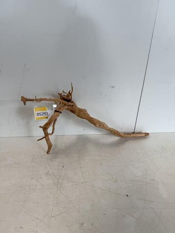 Boutique Stump Selected BS293 - 66x37x24cm (Natuurlijk hout), Ophalen of Verzenden, Nieuw, Plant(en), Steen of Hout