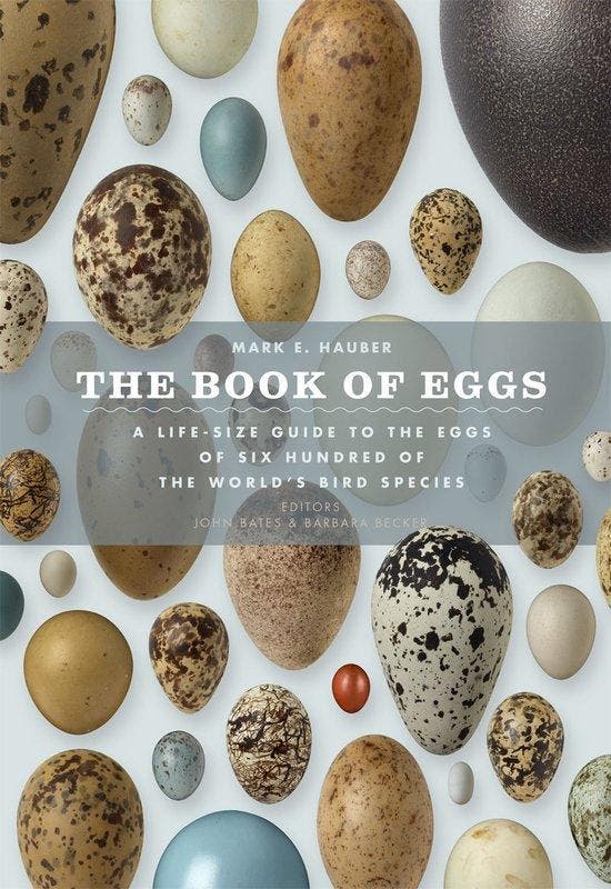 9780226057781 The Book of Eggs Mark E. Hauber, Boeken, Studieboeken en Cursussen, Nieuw, Verzenden
