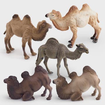 Realistische Dromedaris & Baktriaanse Kameel Figuren - Deskt, Dieren en Toebehoren