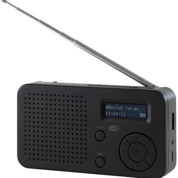 DABMAN 17 Draagbare DAB+/FM-radio - Bluetooth, Ophalen of Verzenden, Nieuw