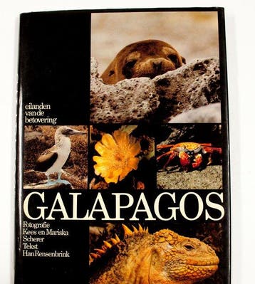 Galapagos - David Koker 9789026949845, Boeken, Verzenden, Gelezen, David Koker