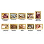 10 x 1/200 troy oz - Goud .999 - 2022 1/200 oz .999 Fine