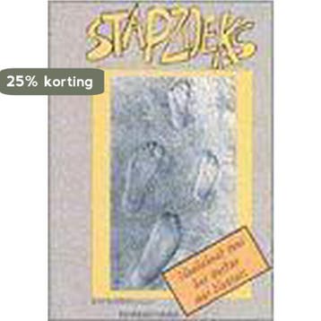 Stapzoeks - R. SOMERS 9789065652706, Verzenden, Gelezen, R. SOMERS