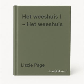 Het weeshuis 1 - Het weeshuis - Lizzie Page 9789046834749, Verzenden, Gelezen, Lizzie Page