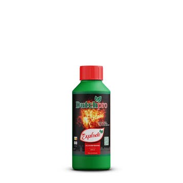 DutchPro Explode | Bloom Booster
