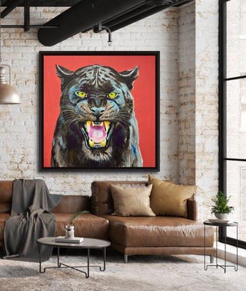 Brooksby - Cool Cat XL