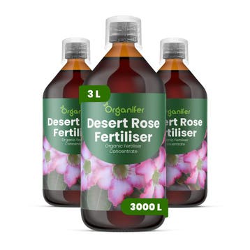 Woestijnroos Vloeibare Meststof - 3x1 liter, Verzenden, Mest