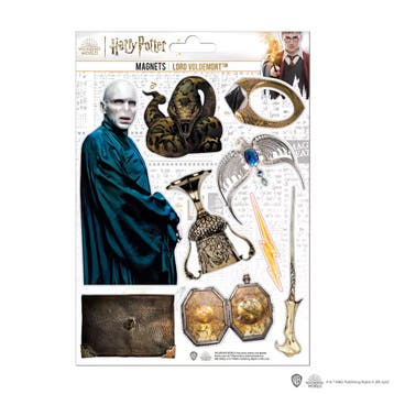 Harry Potter Magneten Voldemort, Verzamelen, Ophalen of Verzenden, Nieuw
