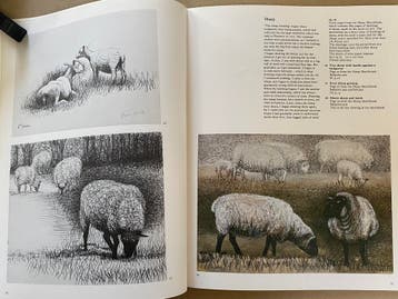 Henry Moore - Zijn prachtige tekeningen 1969-1979, Verzenden, Gelezen, Schilder- en Tekenkunst