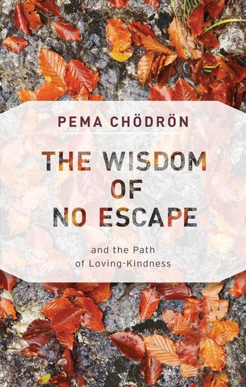 9781611806052 The Wisdom of No Escape: And the Path of Lo..., Verzenden, Nieuw, Pema Chodron