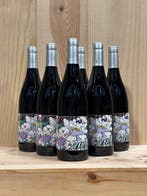 2020 Clos Saint-Fiacre Orleans-Clery - IGP Val de Loire - 6, Nieuw