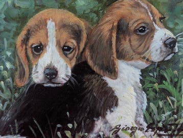 G. Esposito (XX) - Cuccioli beagle