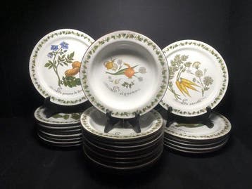 Winterling Bavaria Alpina - Tafelservies - Botanische tuin -