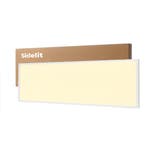 LED Paneel 60x120cm | 4000K | Helder Wit (840) | 60W, Ophalen of Verzenden, Nieuw