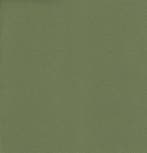 Cartenza stof - Lentegroen - Outdoorstof - Per meter, Overige materialen, 120 cm of meer, Ophalen of Verzenden, Groen