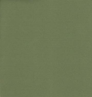 Cartenza stof - Lentegroen - Outdoorstof - Per meter, Overige materialen, 120 cm of meer, Ophalen of Verzenden, Groen