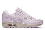 Nike Air Max 1 Pinnacle Venice Violet Ash • 36.5 38.5, Kleding | Dames, Schoenen, Nike, Ophalen of Verzenden, Nieuw, Sneakers of Gympen