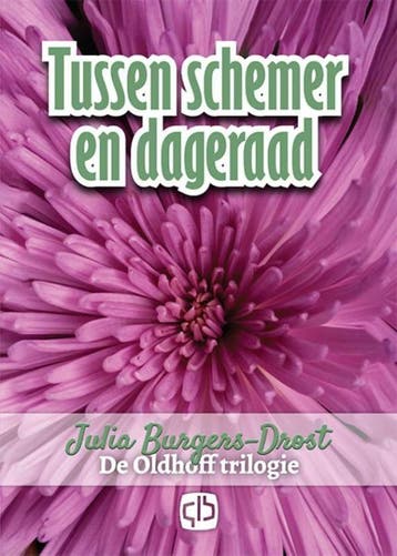 Tussen schemer en dageraad / Grote letter bibliotheek / 3182, Verzenden, Gelezen, Julia Burgers-Drost