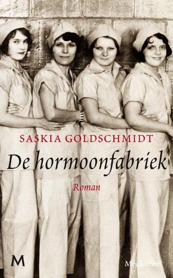 De hormoonfabriek - Saskia Goldschmidt 9789029094863, Verzenden, Zo goed als nieuw, Saskia Goldschmidt