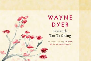 Ervaar de Tao Te Ching - Wayne W. Dyer 9789021550503, Boeken, Verzenden, Gelezen, Wayne W. Dyer