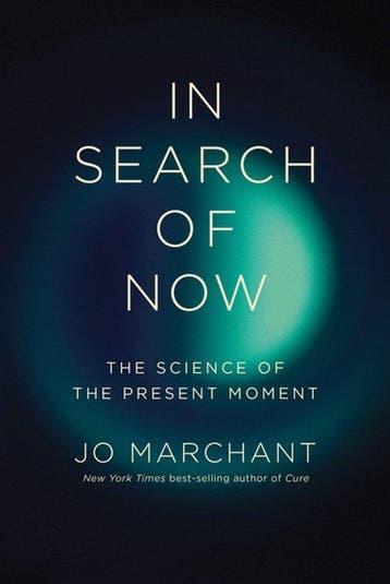 9781324097488 In Search of Now Jo Marchant, Verzenden, Nieuw, Jo Marchant