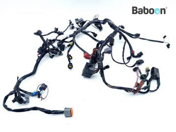 Kabelboom Triumph America 2008-2011 (VIN <468389) (2507611), Motoren, Verzenden, Gebruikt